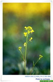 草草草视频在线观看