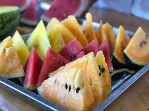 吃瓜网官网最新路线